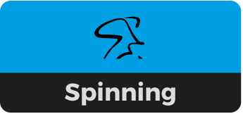 Spinning 3x