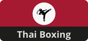 Thai boxing 3x